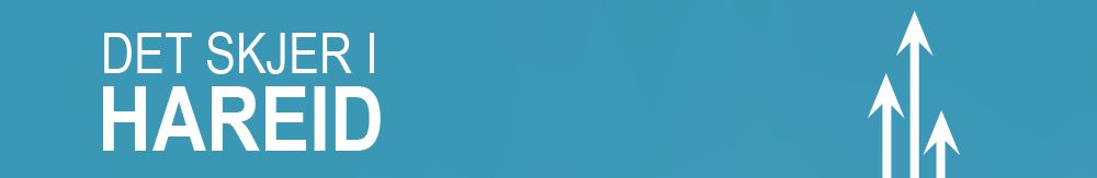 banner - reklame for sauna